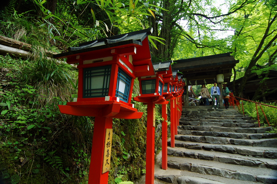 IMGP4108.jpg(537018 byte)