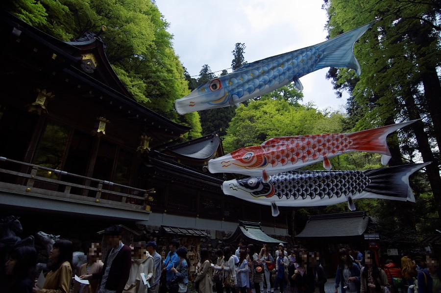 IMGP4109.jpg(386083 byte)