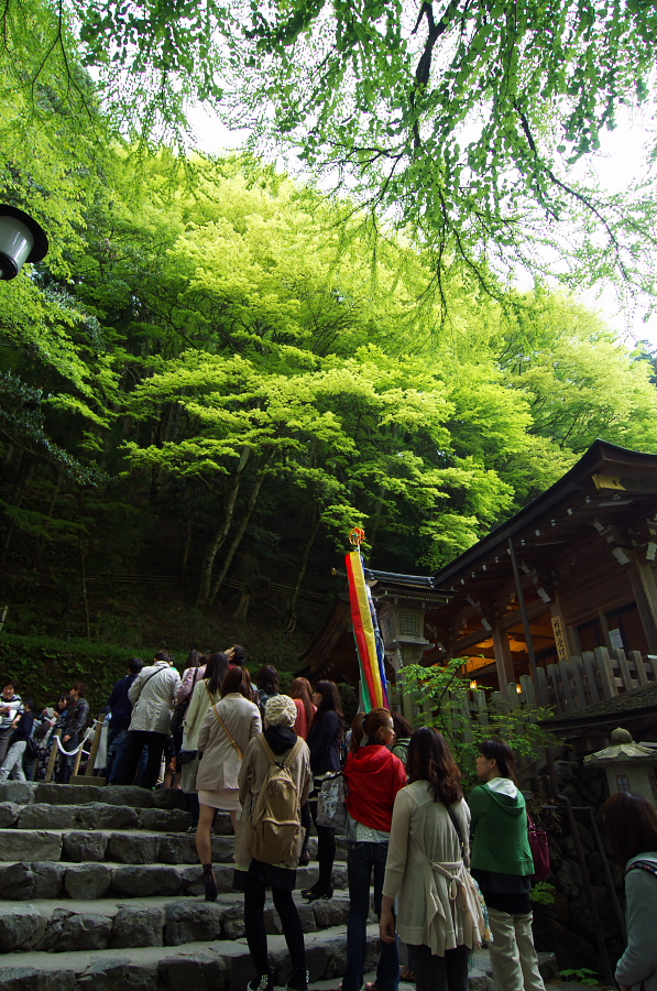 IMGP4123.jpg(556101 byte)