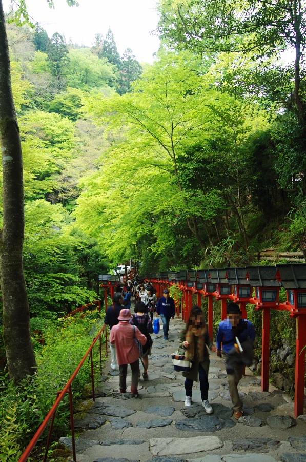 IMGP4132.jpg(581716 byte)