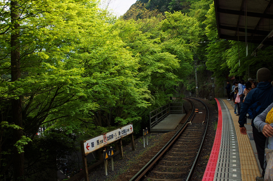 IMGP4183.jpg(528436 byte)