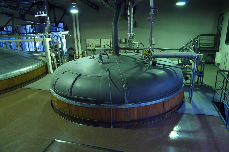 IMGP4283.jpg(347510 byte)