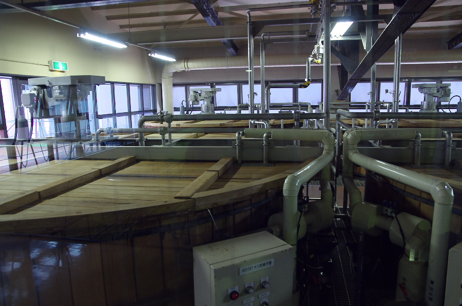 IMGP4285.jpg(303124 byte)