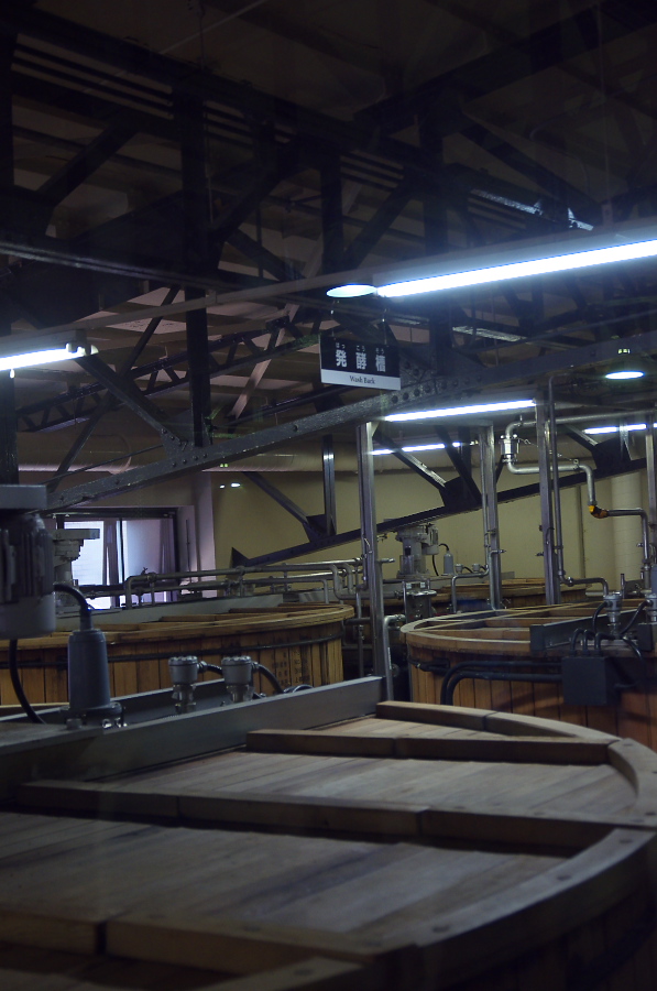 IMGP4291.jpg(242541 byte)