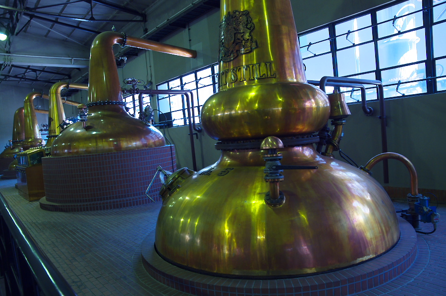 IMGP4294.jpg(361592 byte)