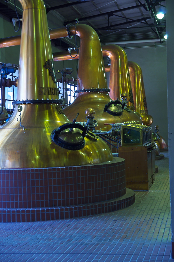 IMGP4299.jpg(350288 byte)