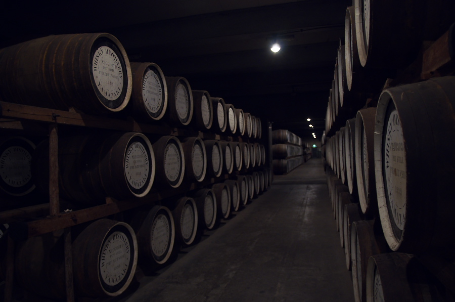 IMGP4302.jpg(182648 byte)