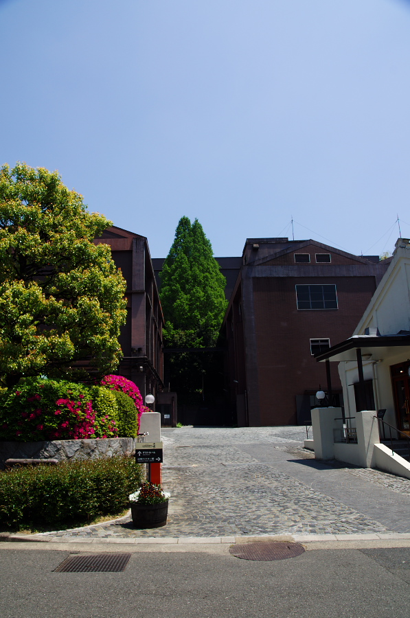 IMGP4338.jpg(332811 byte)