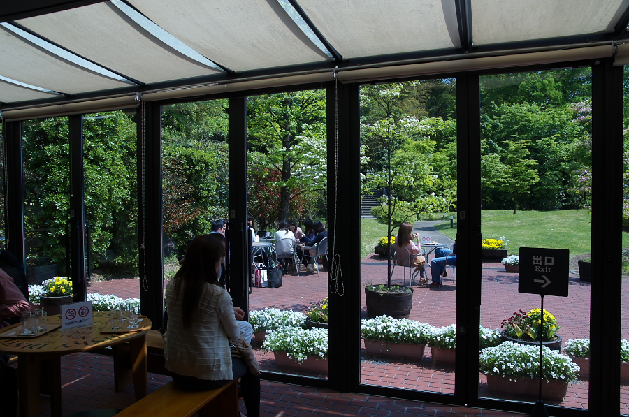 IMGP4371.jpg(446284 byte)