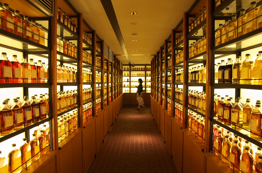 IMGP4386.jpg(460435 byte)