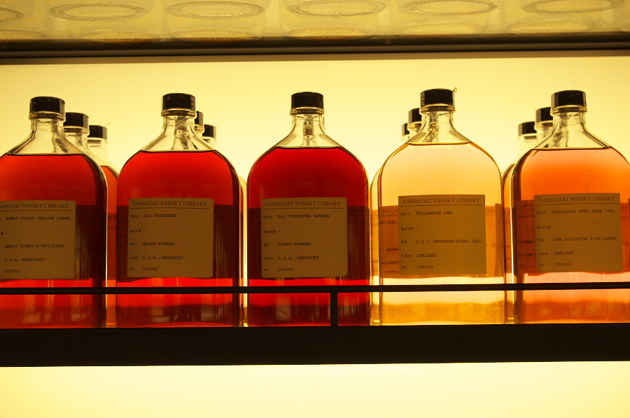 IMGP4388.jpg(233607 byte)