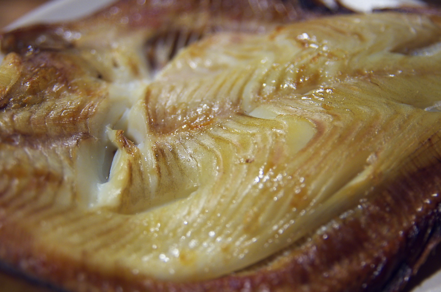 IMGP4501.jpg(270144 byte)