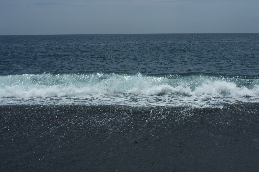 IMGP6922.jpg(318585 byte)