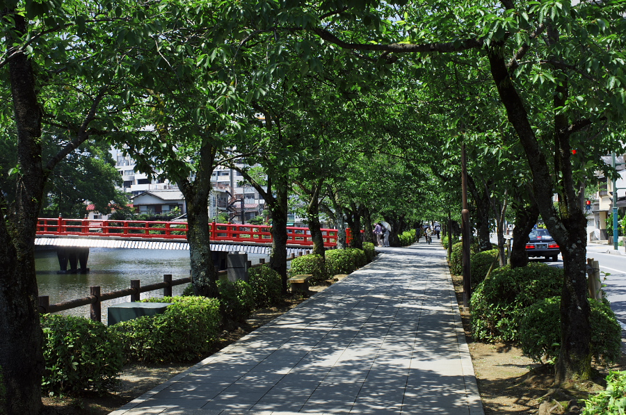 IMGP7003.jpg(599613 byte)