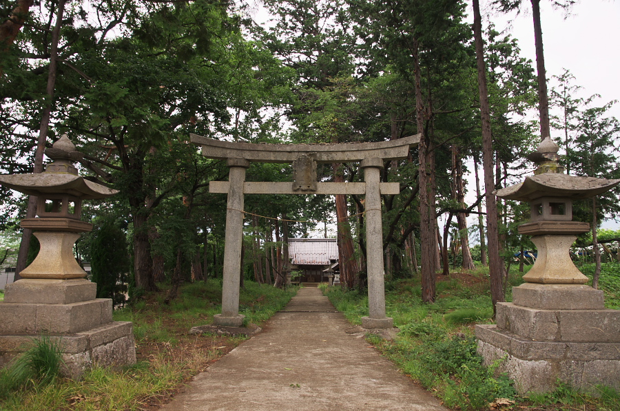 IMGP7369.jpg(513582 byte)