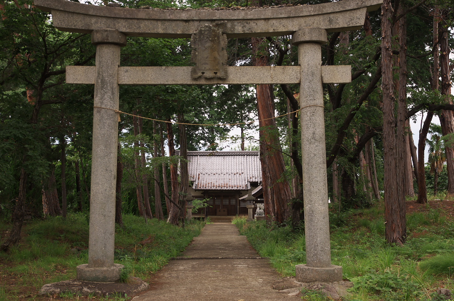 IMGP7371.jpg(467269 byte)