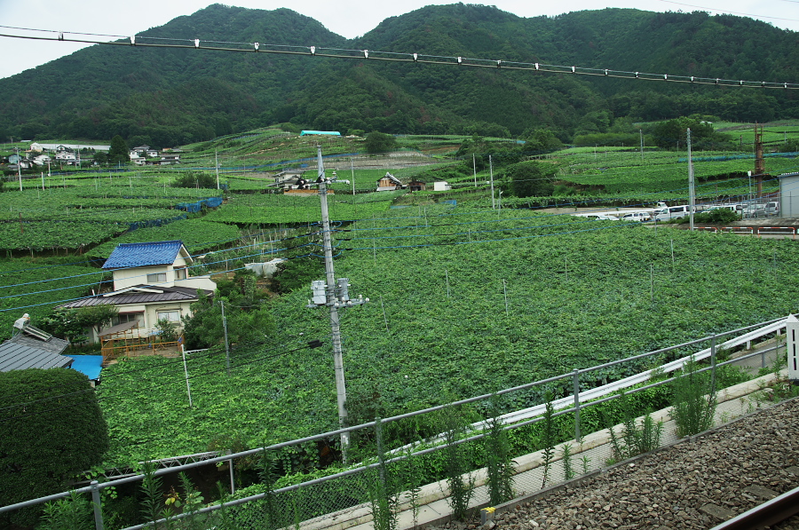 IMGP7680.jpg(552850 byte)