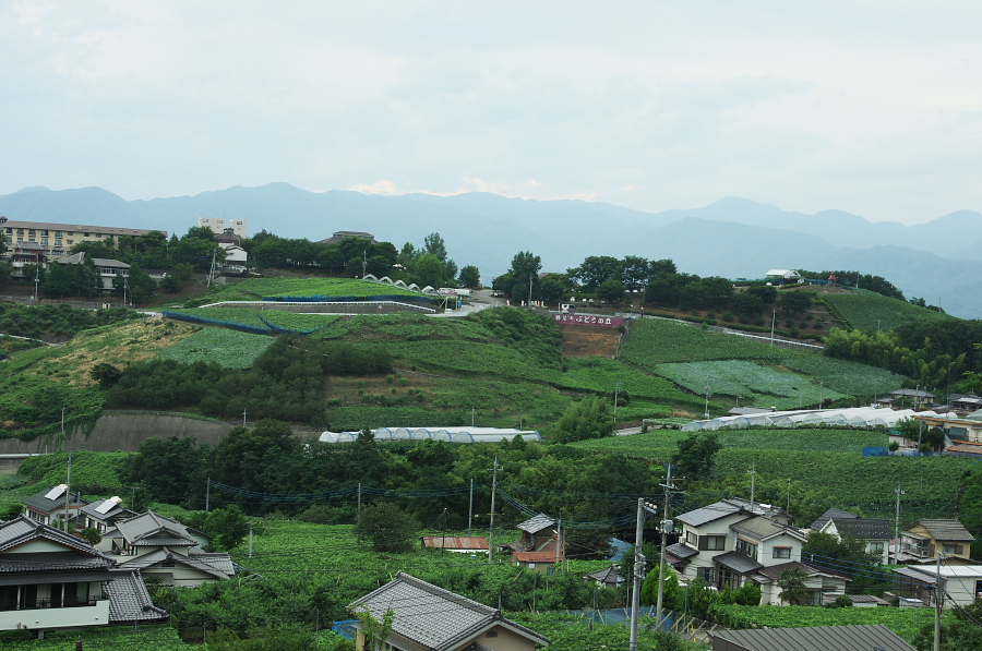 IMGP7682.jpg(344787 byte)