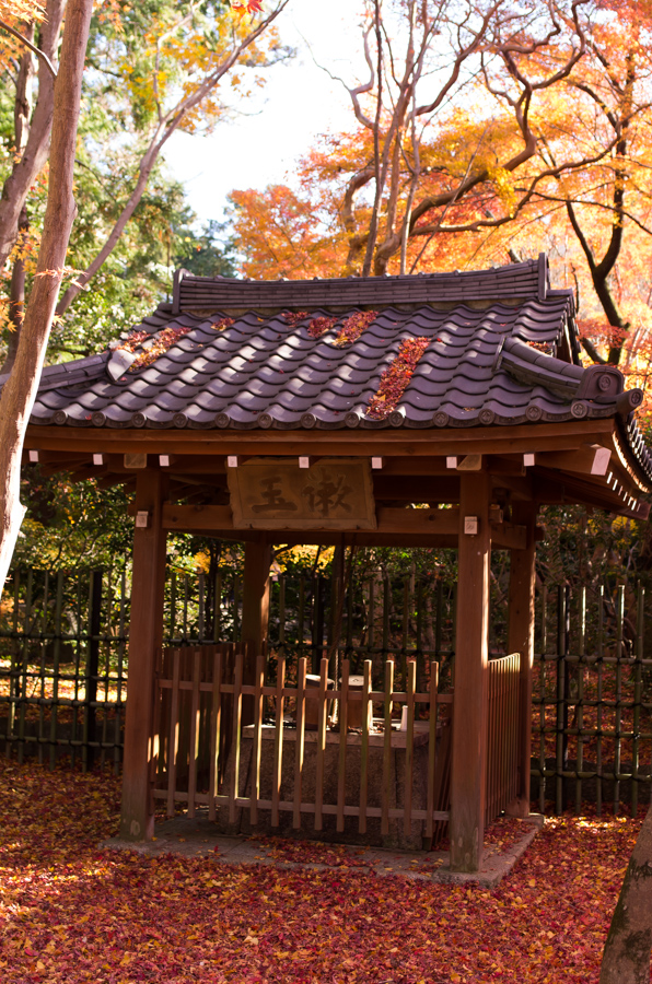 IMGP8190.jpg(588152 byte)