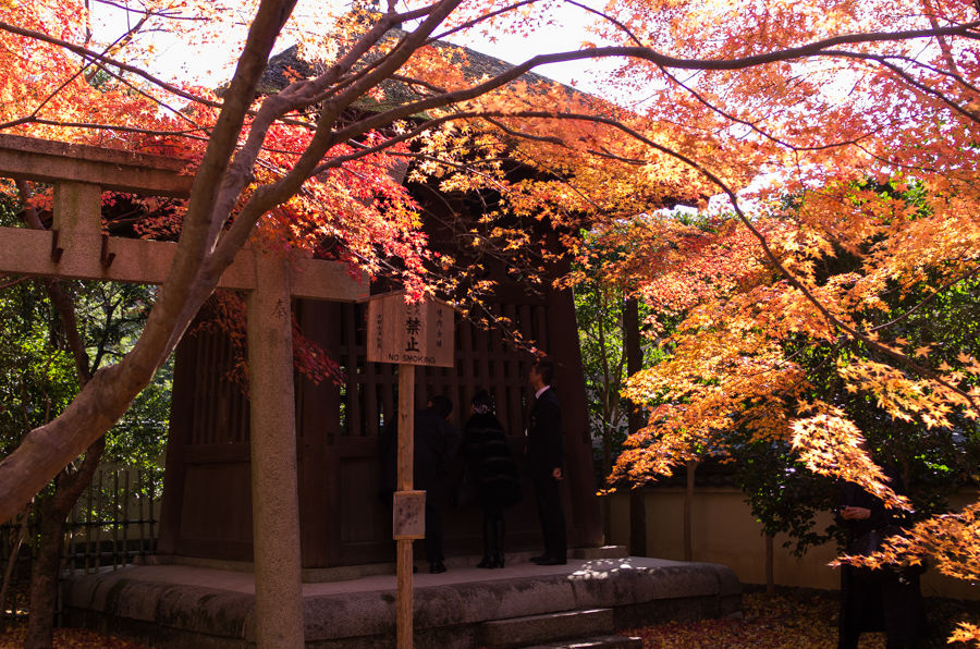 IMGP8194.jpg(657027 byte)