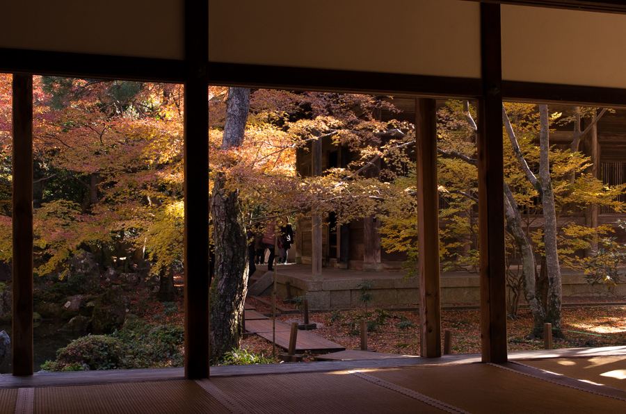 IMGP8201.jpg(451867 byte)