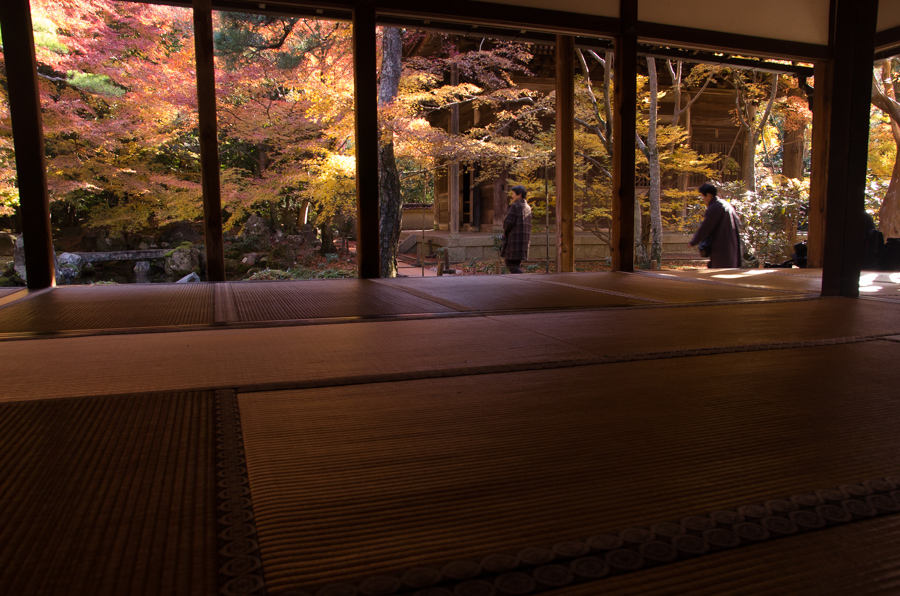 IMGP8212.jpg(395541 byte)