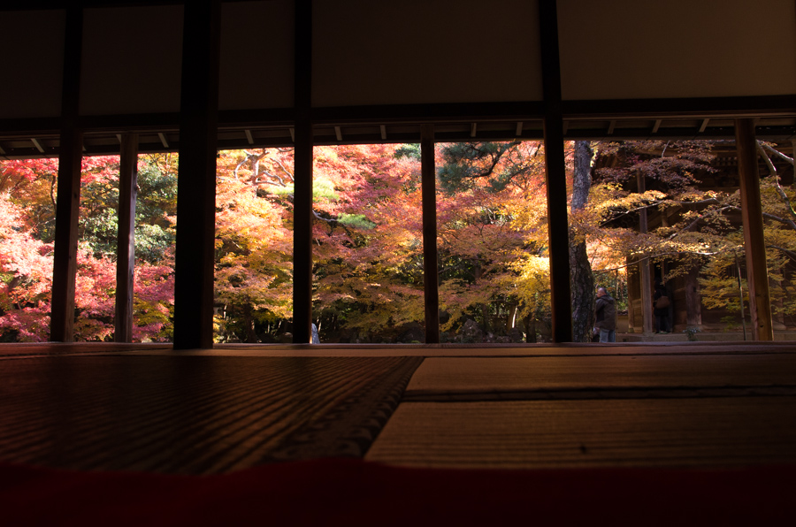 IMGP8225.jpg(345466 byte)