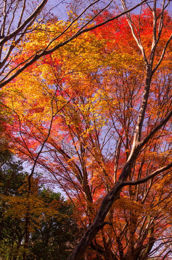 IMGP8254.jpg(890944 byte)