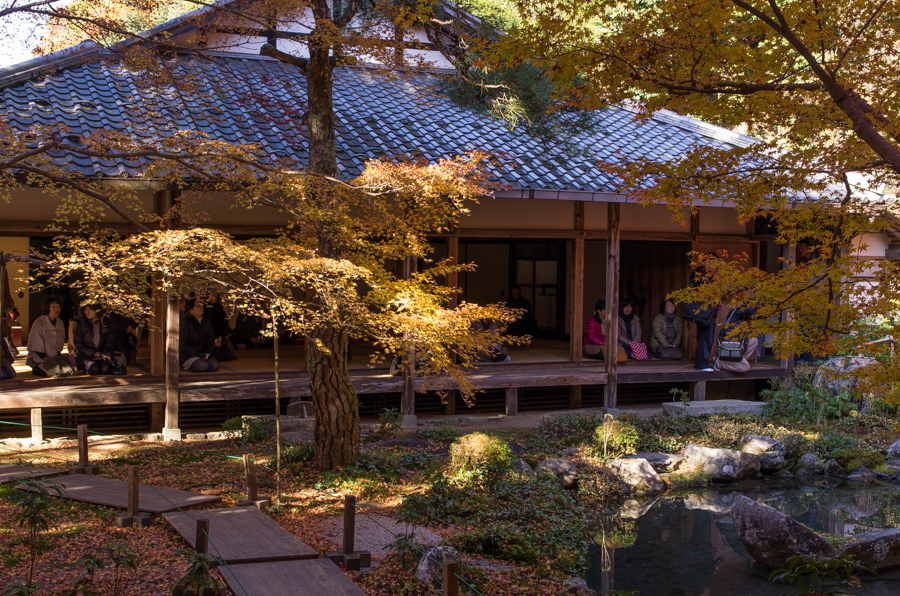 IMGP8261.jpg(639786 byte)