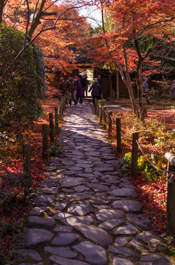 IMGP8267.jpg(619643 byte)