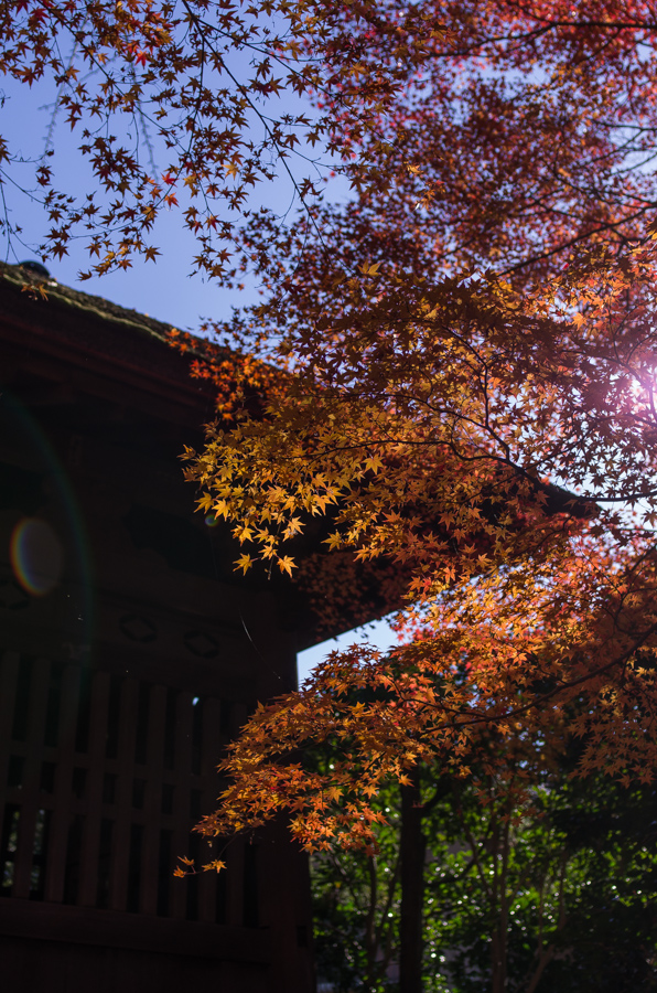 IMGP8271.jpg(573516 byte)