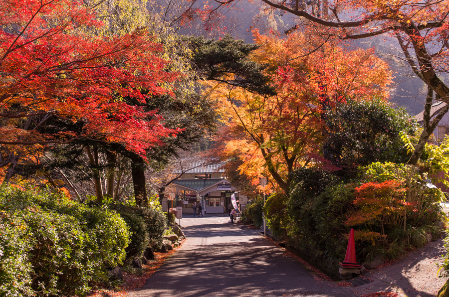 IMGP8272.jpg(763671 byte)