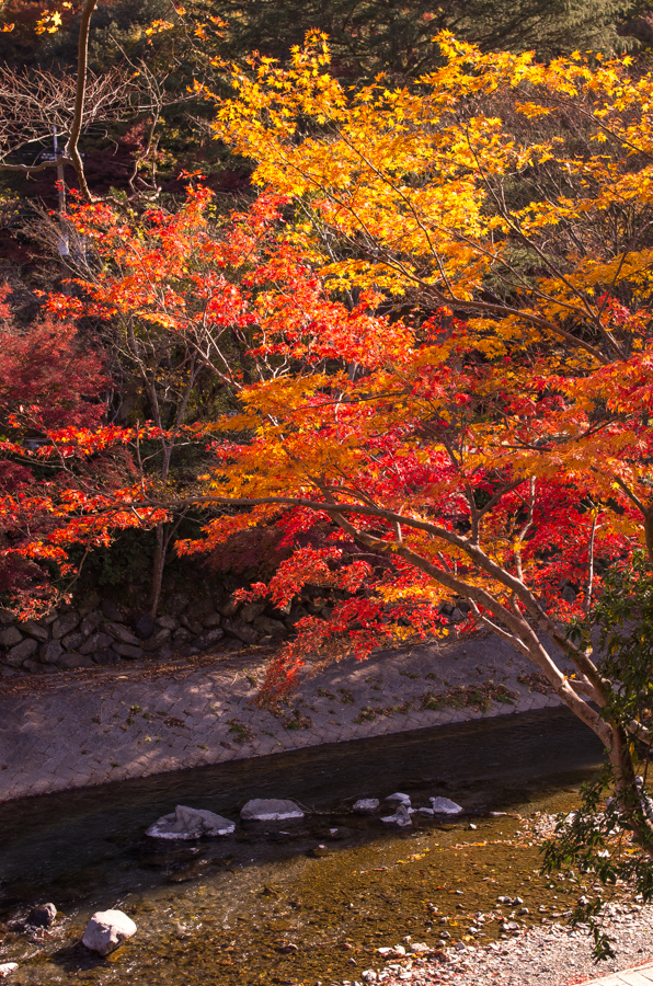 IMGP8276.jpg(763706 byte)