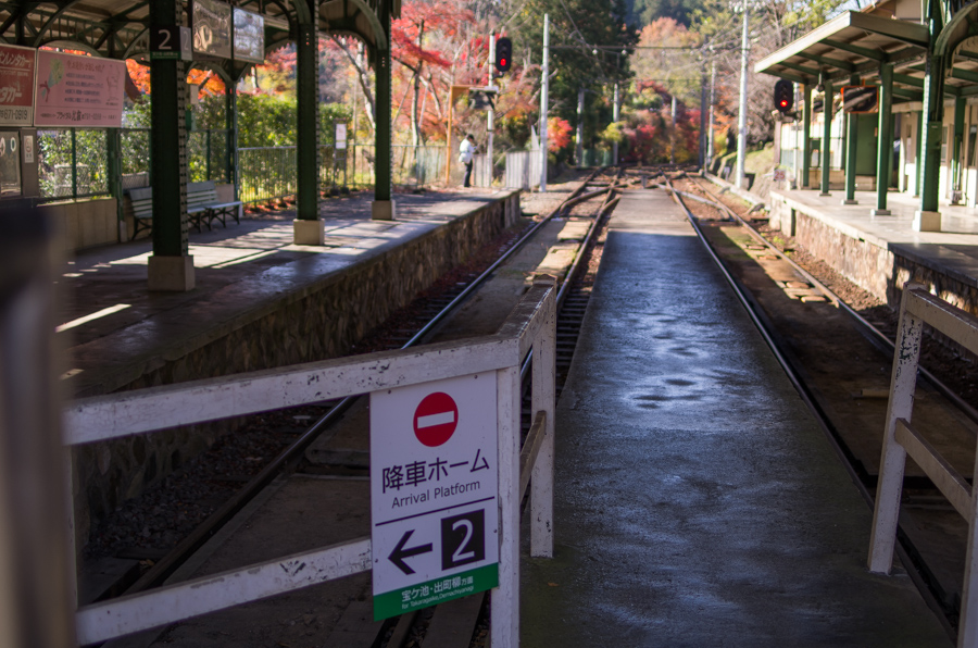 IMGP8278.jpg(396561 byte)