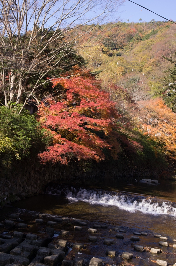 IMGP8279.jpg(554445 byte)