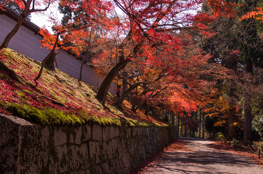 IMGP8323.jpg(705561 byte)