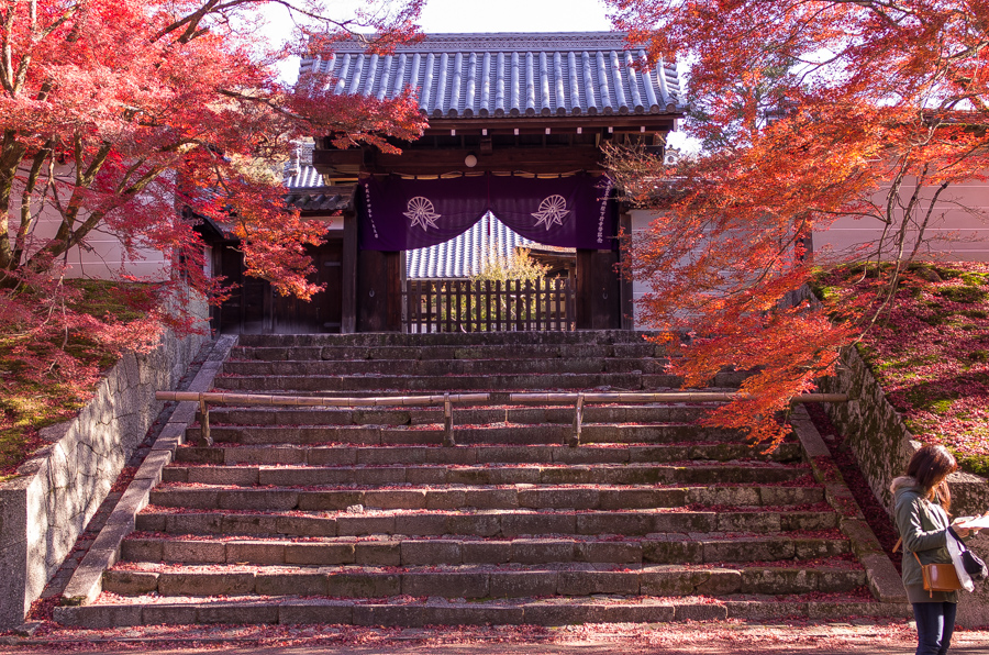 IMGP8325.jpg(672413 byte)