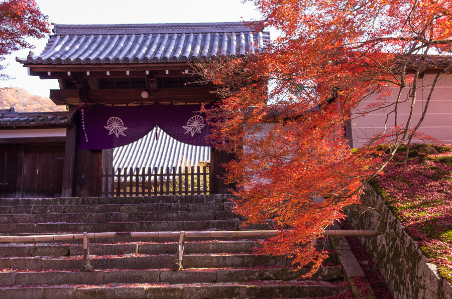 IMGP8327.jpg(628136 byte)