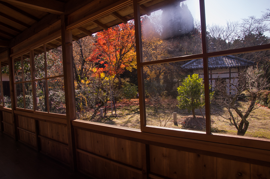 IMGP8336.jpg(445972 byte)