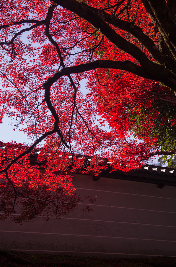 IMGP8344.jpg(665269 byte)