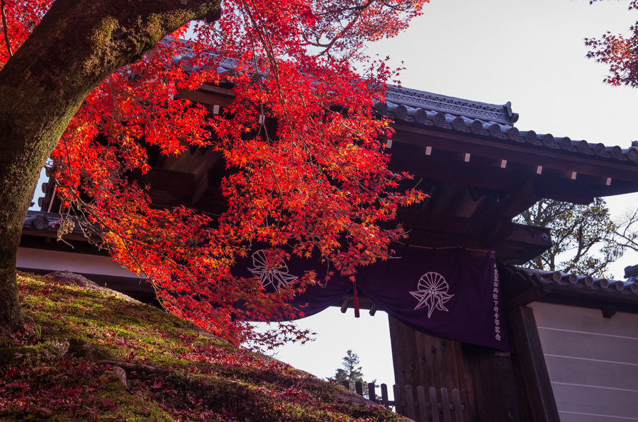 IMGP8361.jpg(581760 byte)