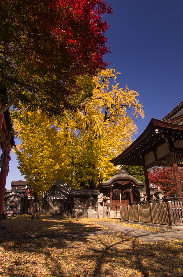 IMGP8371.jpg(629121 byte)