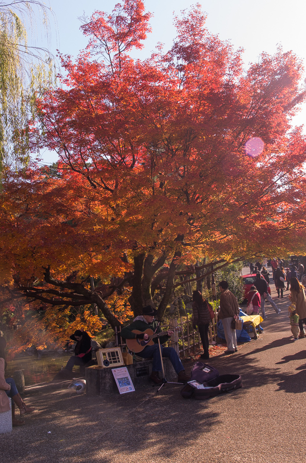 IMGP8395.jpg(638194 byte)