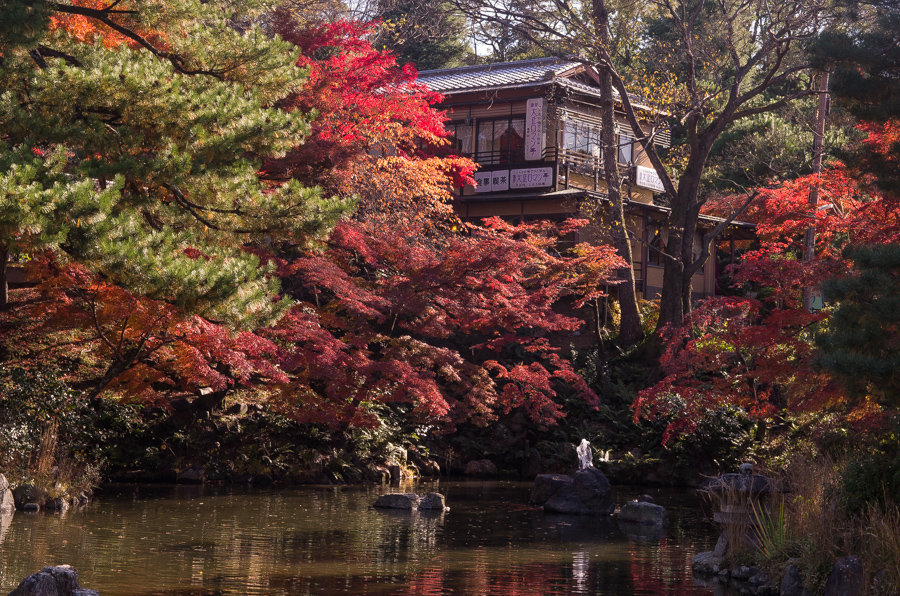 IMGP8399.jpg(609560 byte)