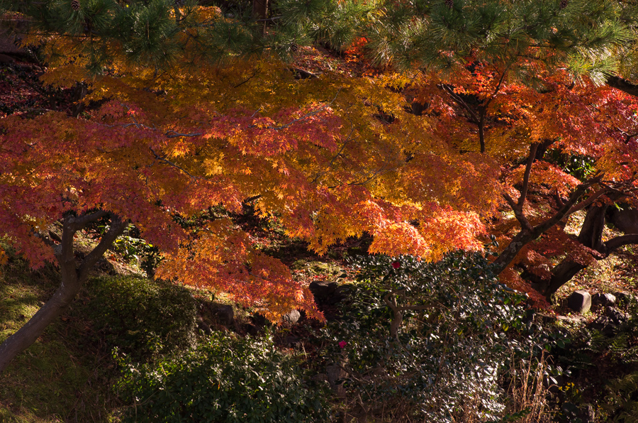 IMGP8400.jpg(691548 byte)