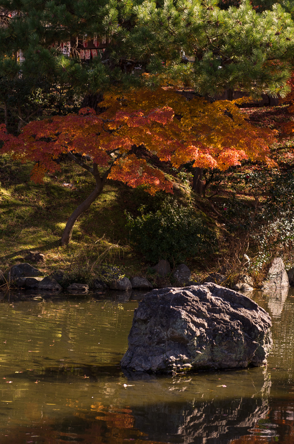 IMGP8415.jpg(575002 byte)