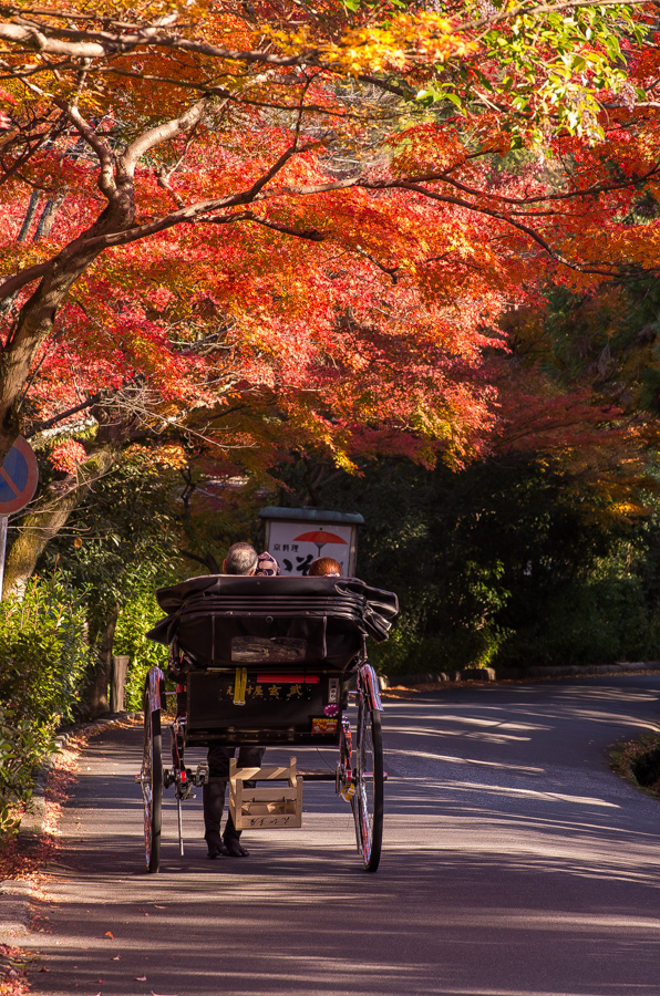 IMGP8435.jpg(667546 byte)