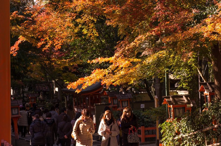 IMGP8437.jpg(676325 byte)