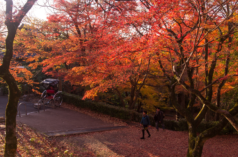 IMGP8572.jpg(734411 byte)