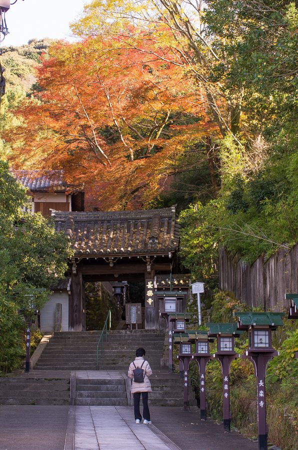 IMGP8426.jpg(673536 byte)